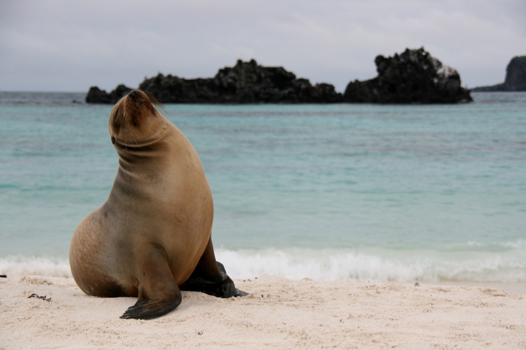 Galapagos Islands, G Adventures small group travel